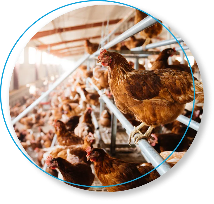 Home Smoz Bio Energie A Rennes Lanalyse Avant Etou Apres Implantation Dun Batiment Home Smoz Bio Energie A Rennes Lanalyse Avant Etou Apres Implantation Dun Batiment