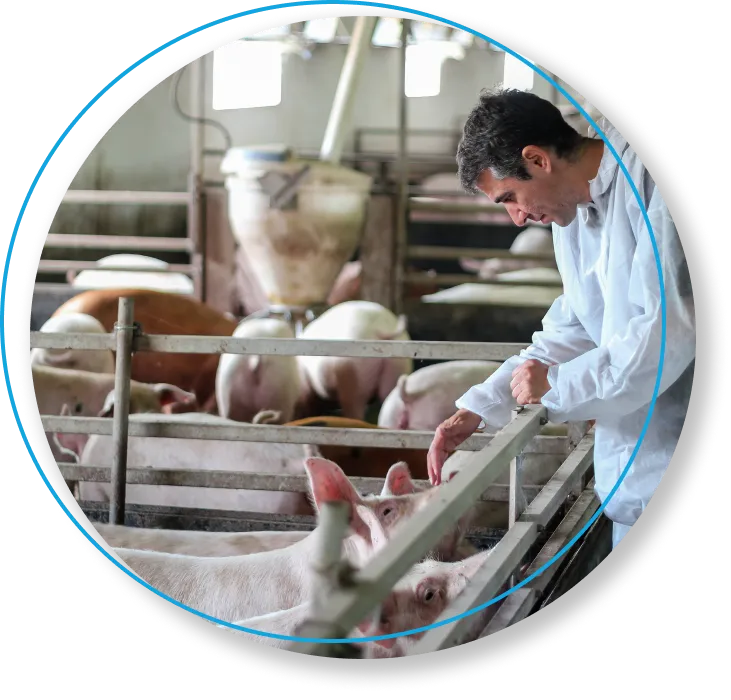 Home Smoz Bio Energie A Rennes Une Etude De Geobiologie Au Spectre De Recherche Le Plus Large Possible Home Smoz Bio Energie A Rennes Une Etude De Geobiologie Au Spectre De Recherche Le Plus Large Possible